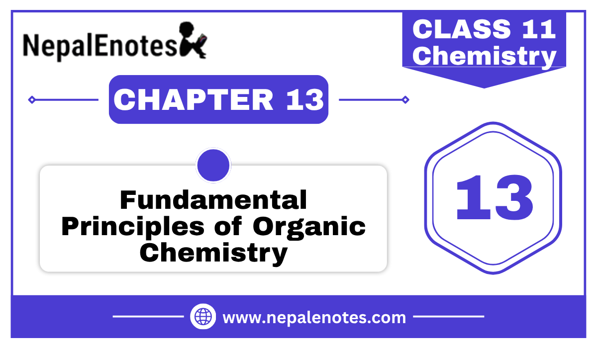 Class 11 Chemistry Fundamental Principles of Organic Chemistry Notes