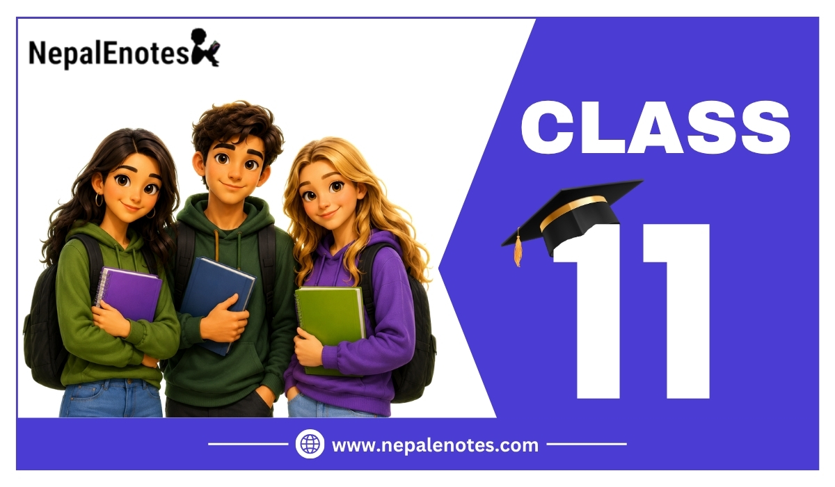 Class 11 Notes