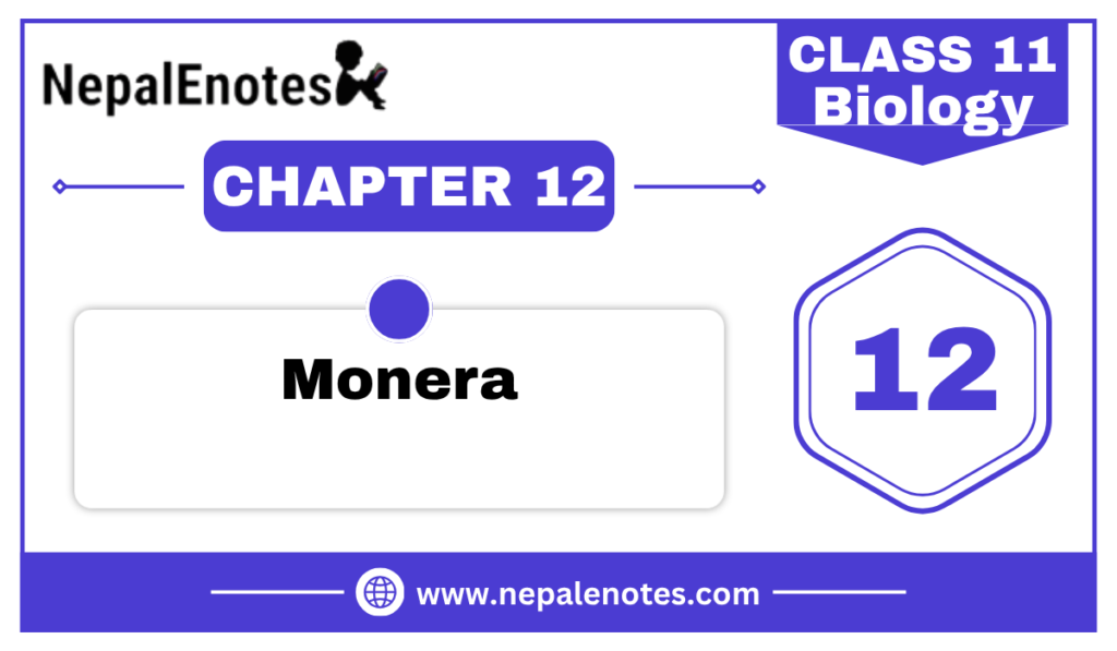 Class 11 Biology Monera Notes
