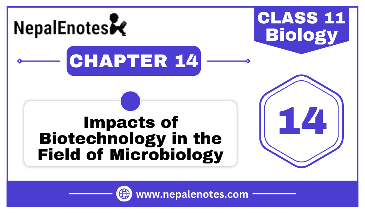 Class 11 Biology Impacts of biotechnology in the field of microbiology Notes