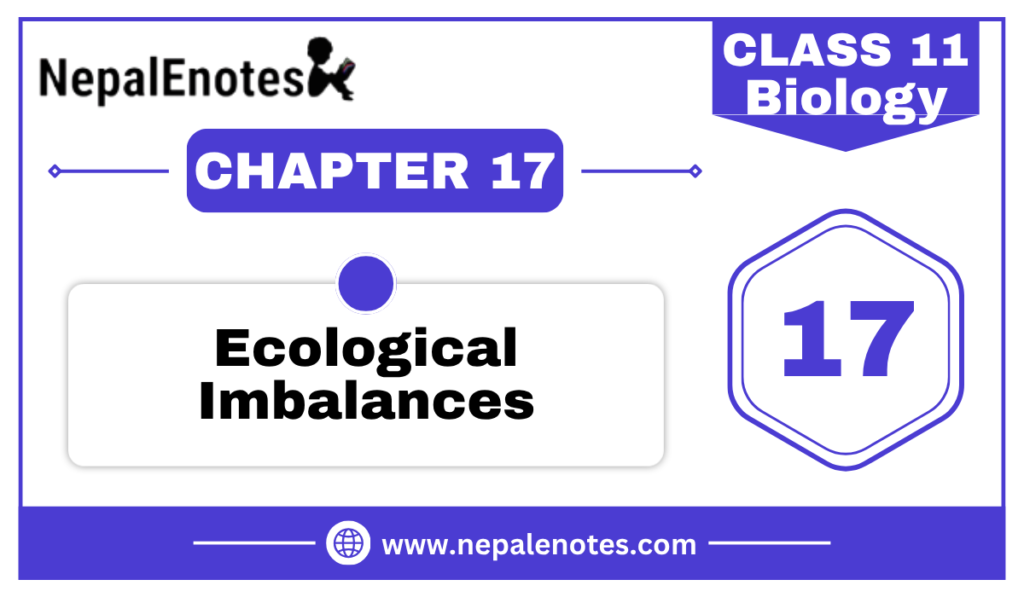 Class 11 Biology | Ecological Imbalances Notes