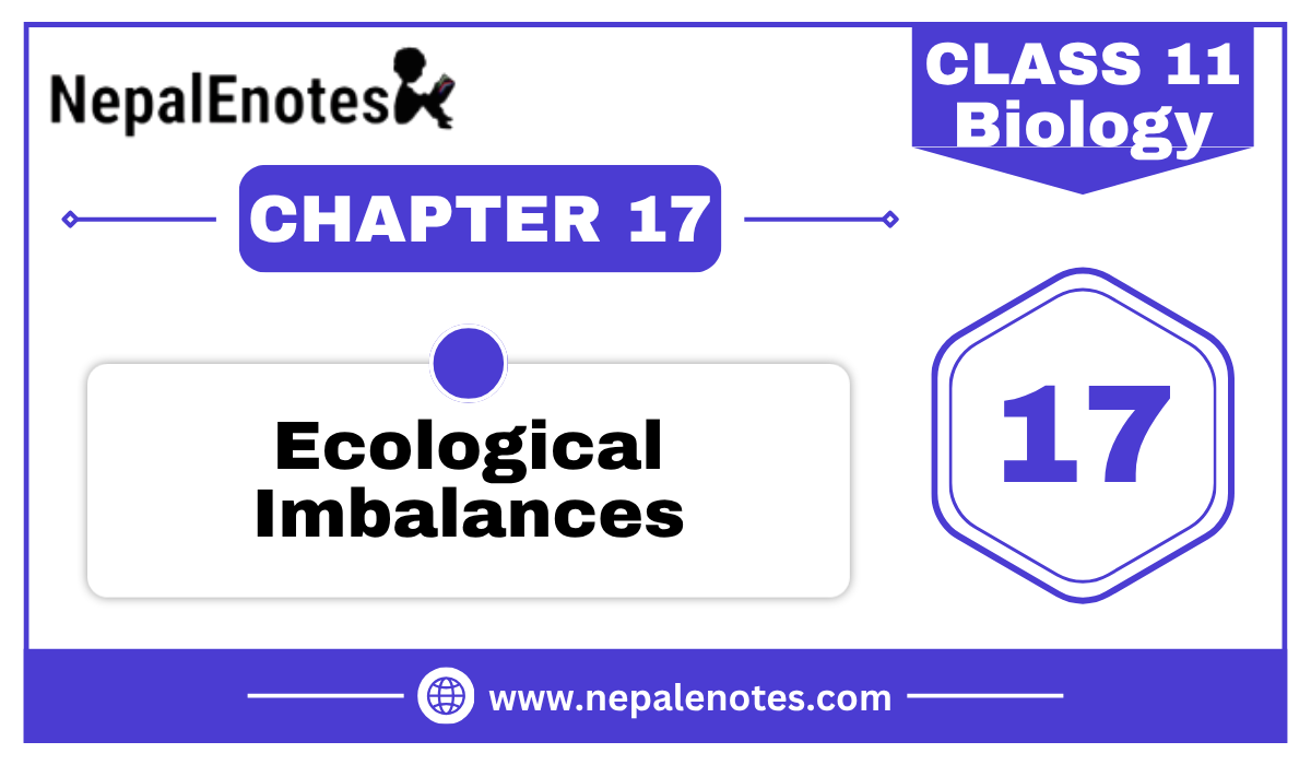 Class 11 Biology | Ecological Imbalances Notes