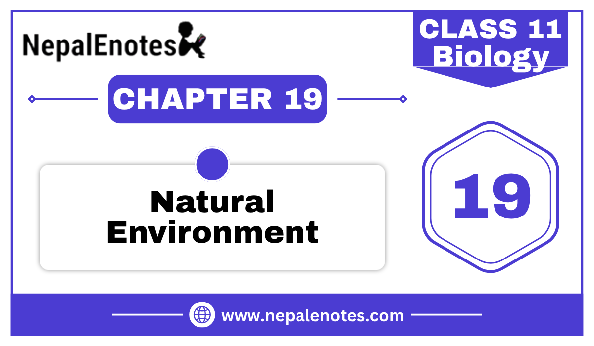Class 11 Biology Natural Environment Notes