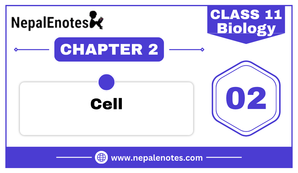 Class 11 Biology Cell Notes