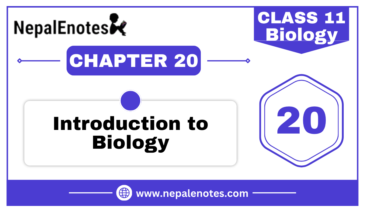 Class 11 Biology | Introduction to Biology Notes