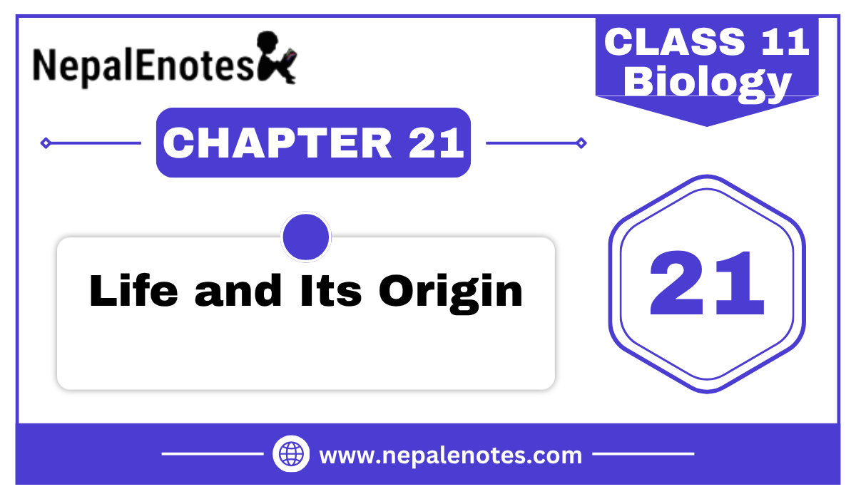 Class 11 Biology | Life and its Origin Notes