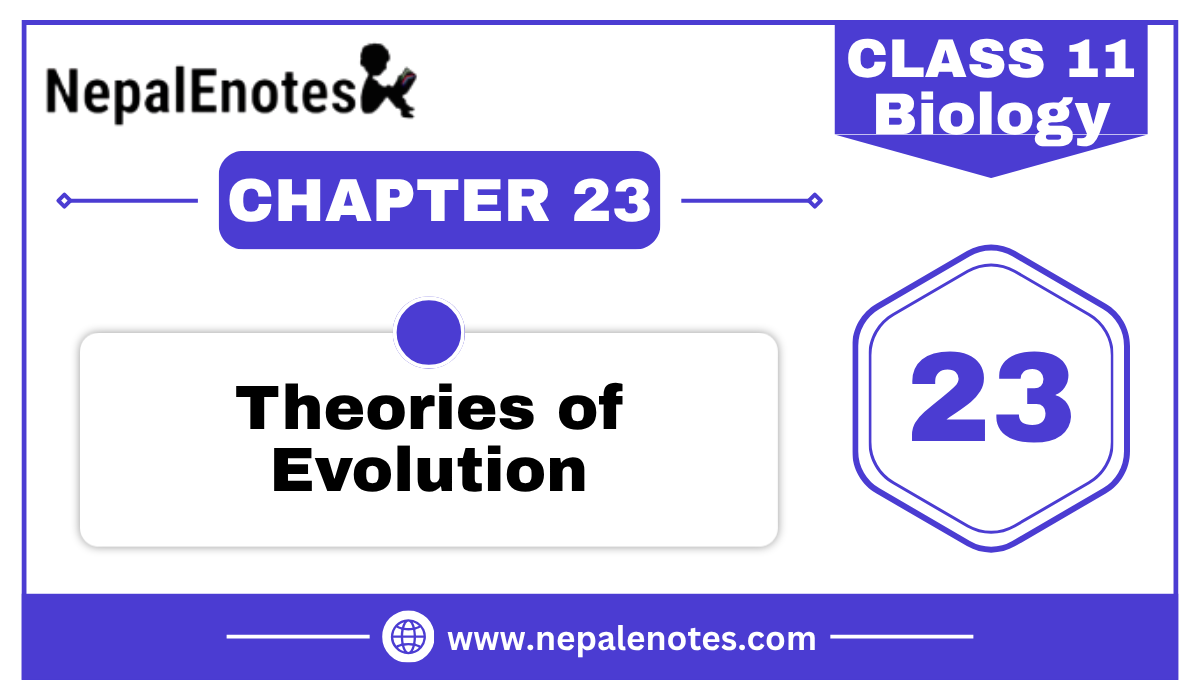 Class 11 Biology | Theories of evolution Notes