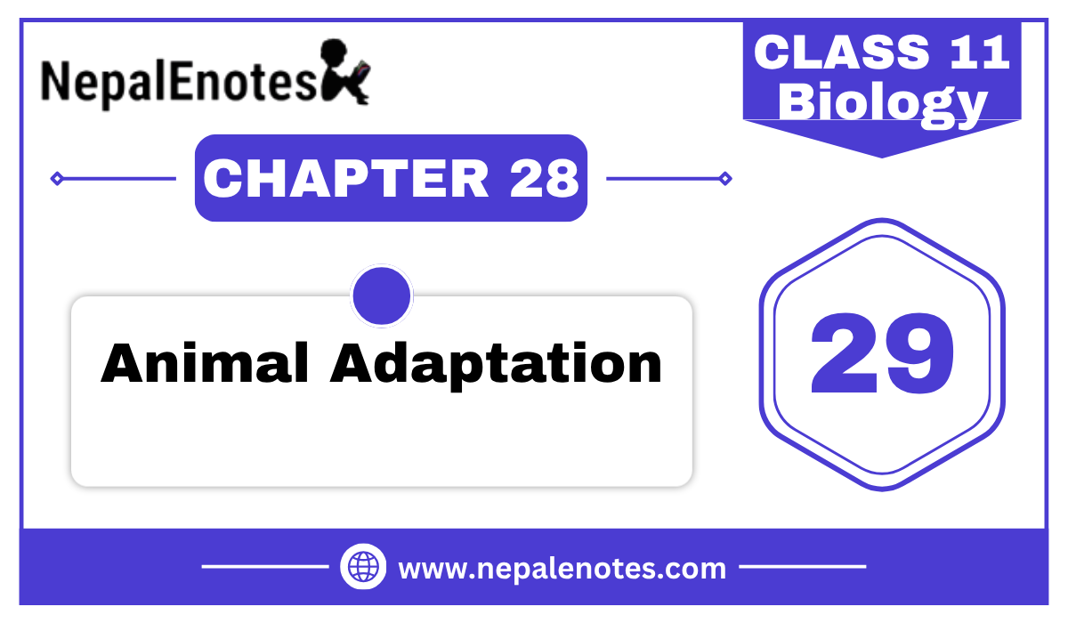 Class 11 Biology | Animal adaptation Notes