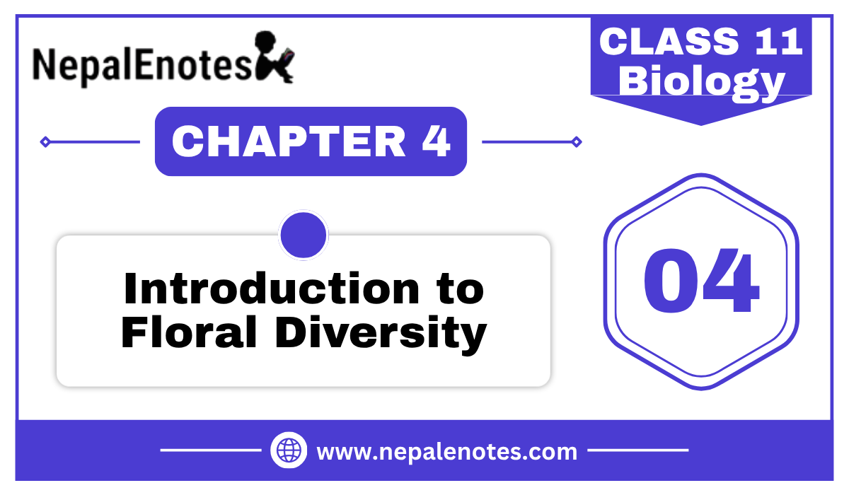 Class 11 Biology Introduction to Floral Density Notes