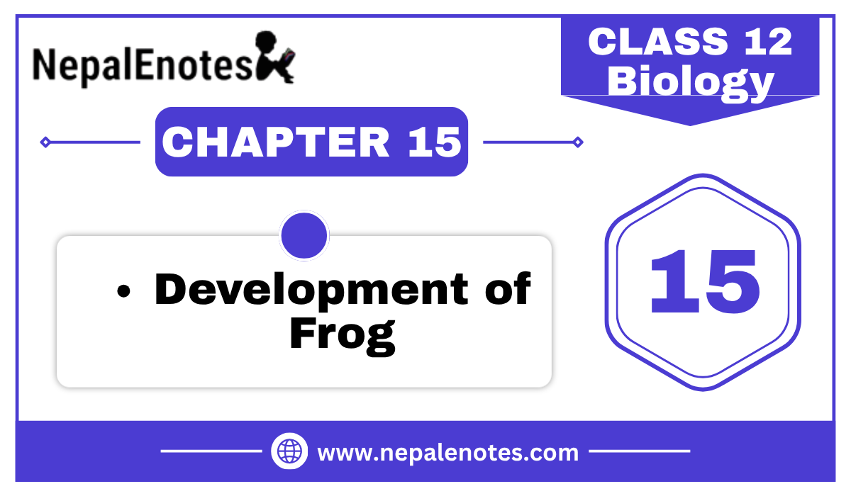 Class 12 Zoology Development of frog Notes