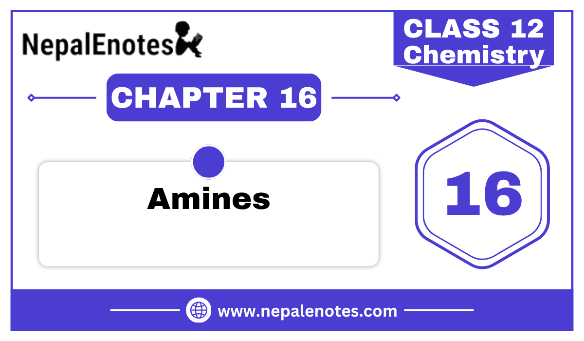 Class 12 Chemistry Amines Notes