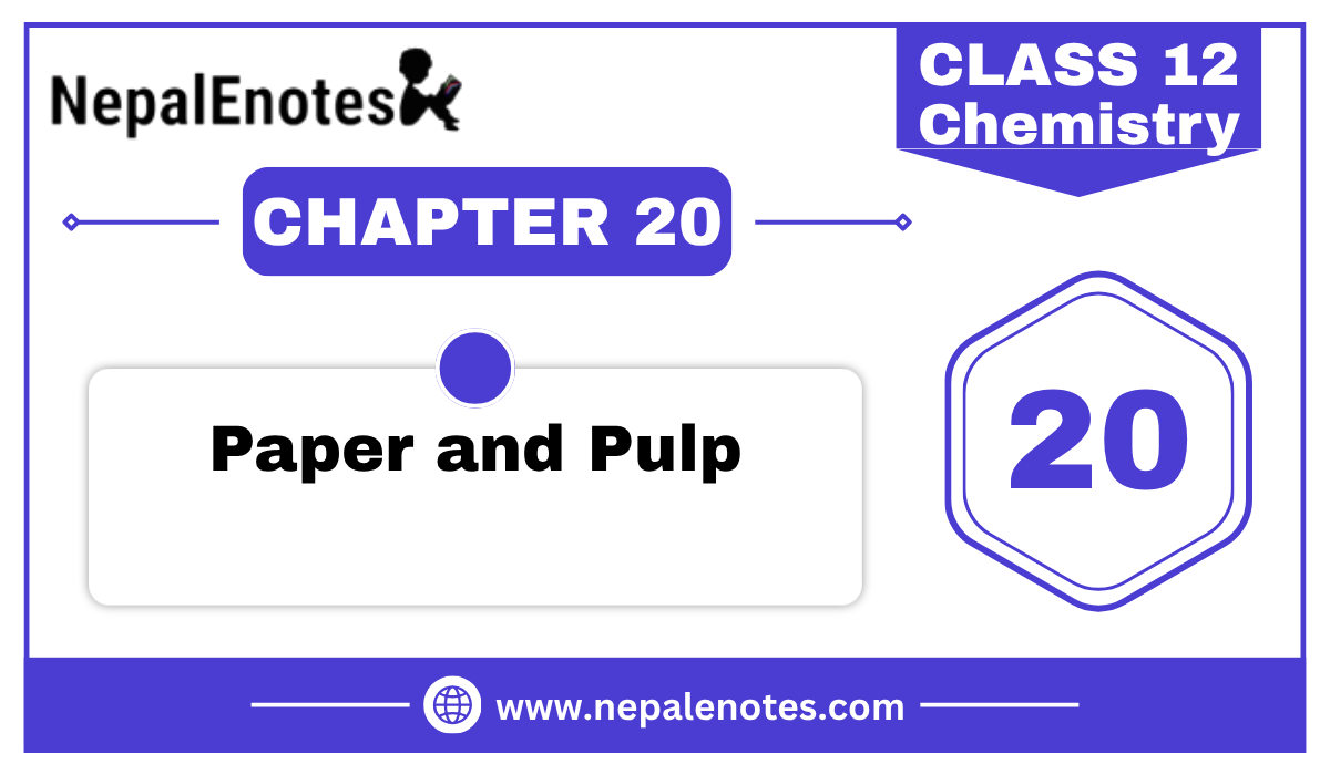 Class 12 Chemistry Paper and Pulp Notes