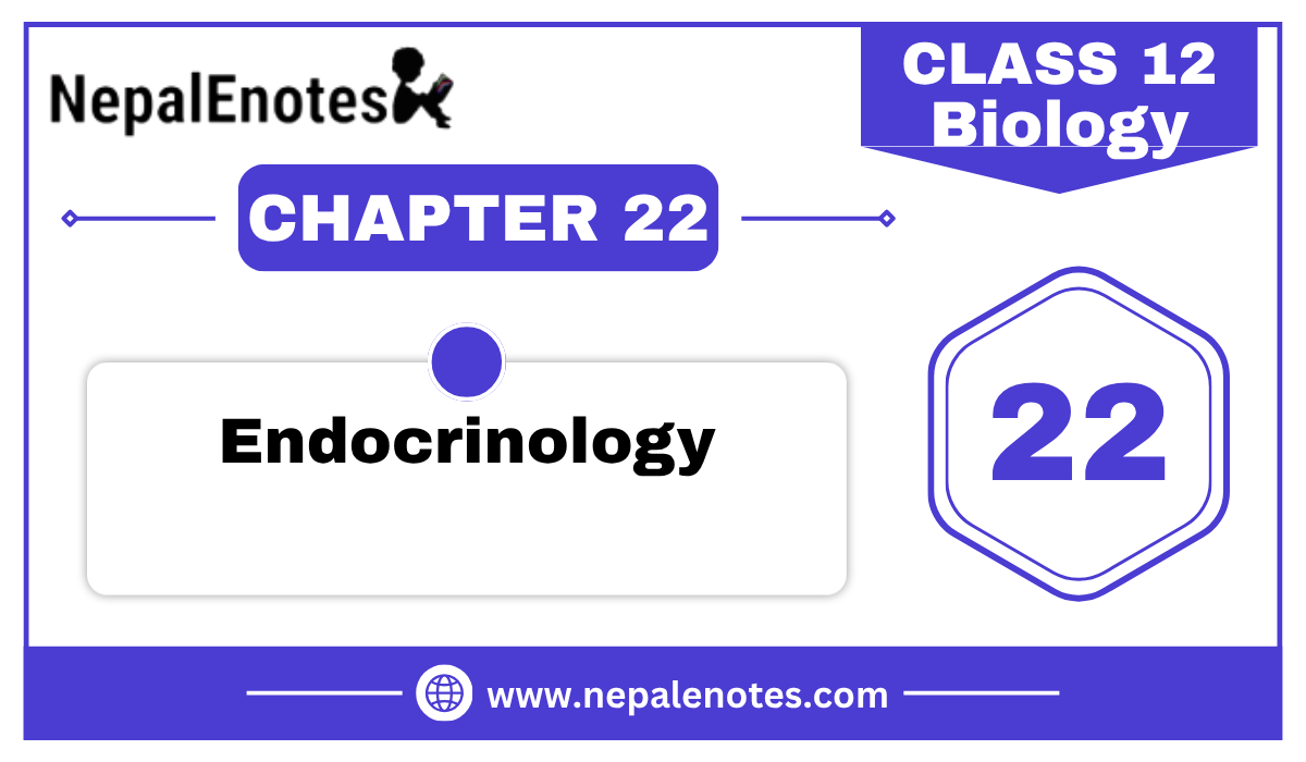 Class 12 Zoology  Endocrinology Notes