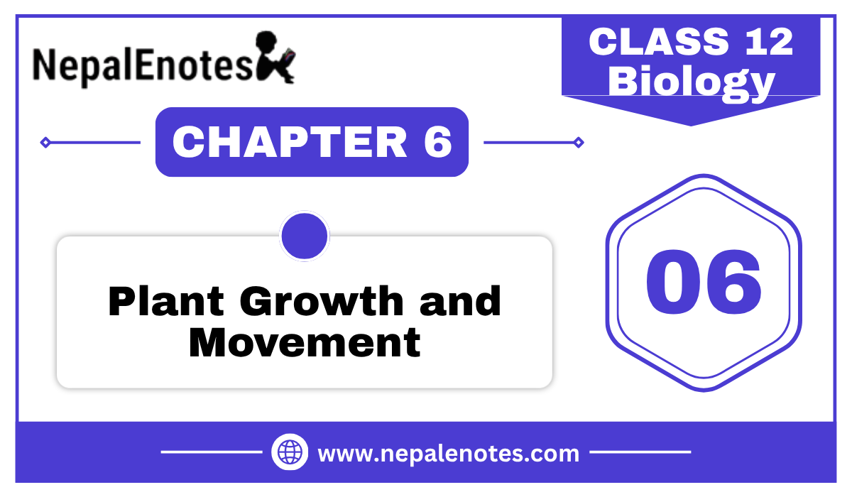 Class 12 Biology Plant growth and movement Notes