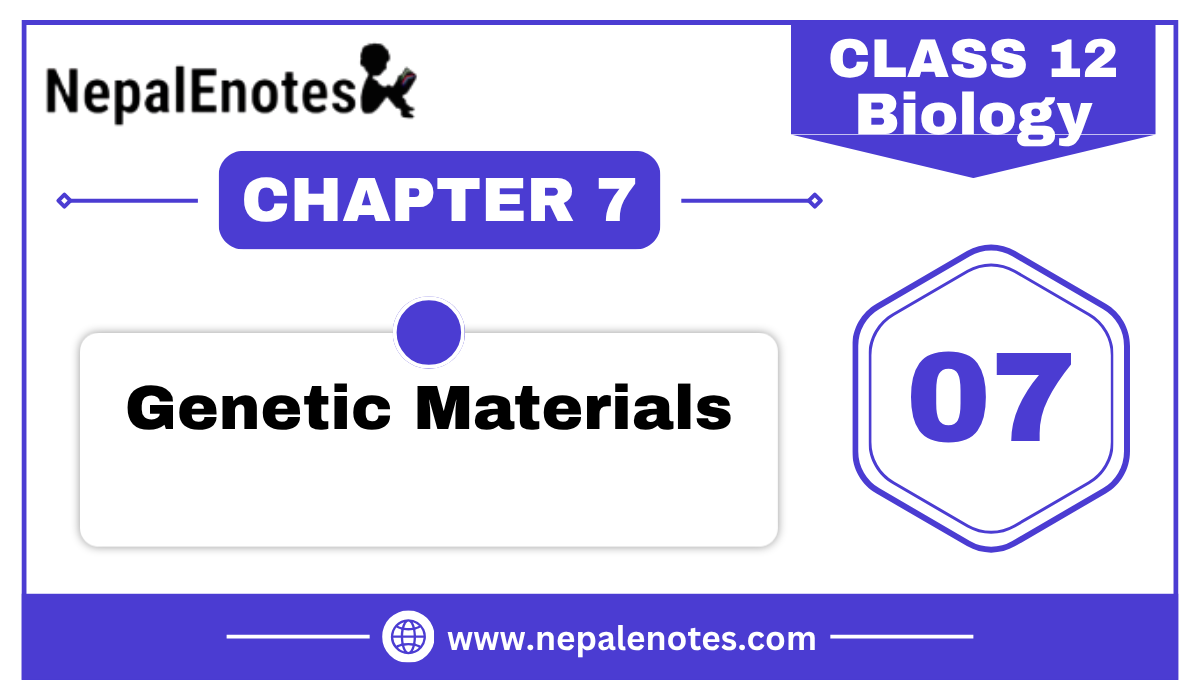 Class 12 Biology Genetic Materials Notes