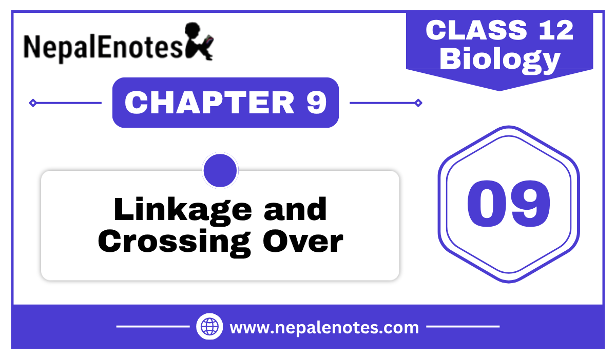 Class 12 Biology Linkage and crossing over Notes
