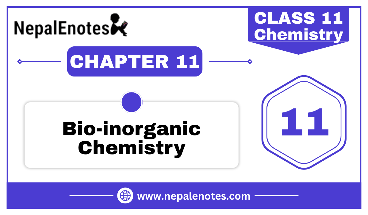 Class 11 Bioinorganic Chemistry Notes