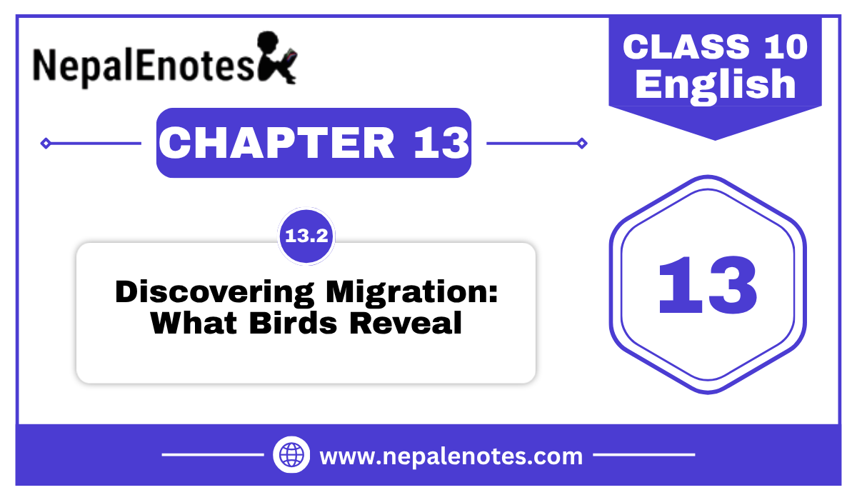 Discovering Migration: What Birds Reval | Unit 13.2 | English