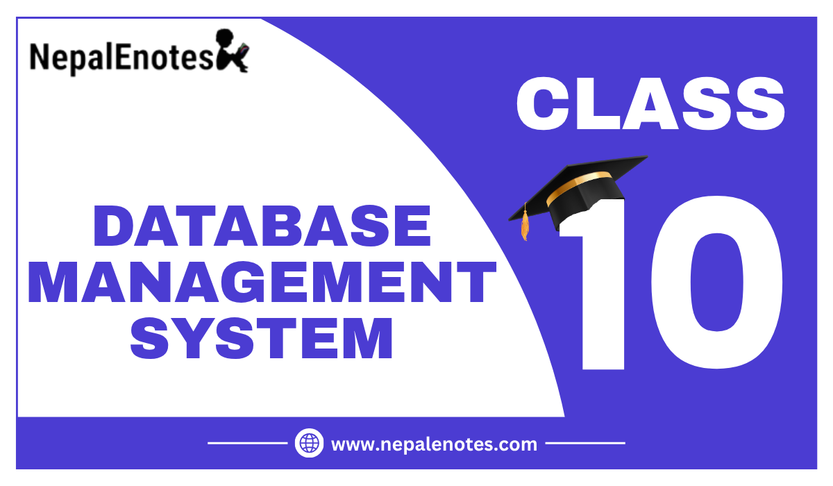 Database Management System | Class 10